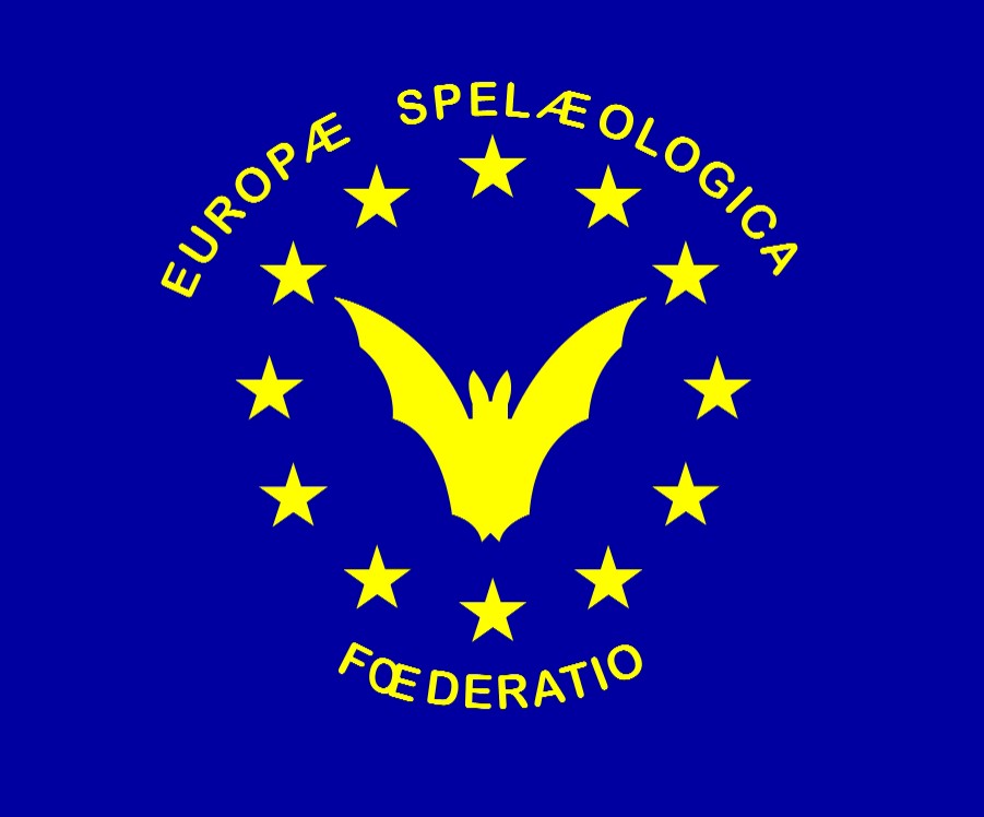 fse_logo2copy